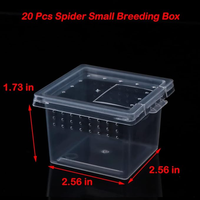 20 Pcs Spider Terrariums Breeding Box Hatching Container Acrylic Feeding Box for Small Reptile Scorpion Centipede Insect (Small Size)