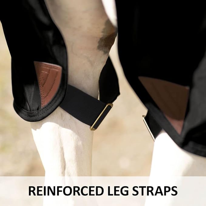 Dura-Nylon Horse Stable Sheet | Ultimate Comfort & Protection Horse Sheet | Keeps Coats Smooth & Shiny