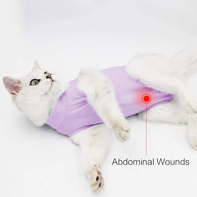 Cat Surgery Recovery Suit Cat Onesie for Cats After Surgery Spay Surgical Abdominal Wound Skin Diseases E-Collar Alternative Wear (Pruple-M)