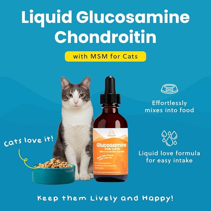 100% Natural Liquid Glucosamine Chondroitin with MSM for Cats, Hip & Joint Supplement for Senior Felines, Arthritis Support & Mobility Booster Glucosamine Drops, 2 Oz