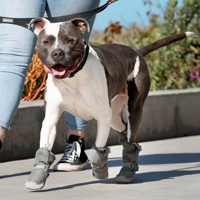 Canada Pooch Dog Boots for Hot Pavement - Dog Boots & Paw Protectors with Anti Slip Rubber | Water Friendly, Breathable Dog Shoes for Hot Days, Great for Dogs Grey - Size 1