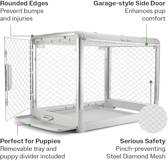 DIGGS Revol Collapsible Dog Crate with Wheels - Premium Portable Dog Crate - Safe, Stylish, and Convenient Indoor Kennel (Ash, Intermediate)