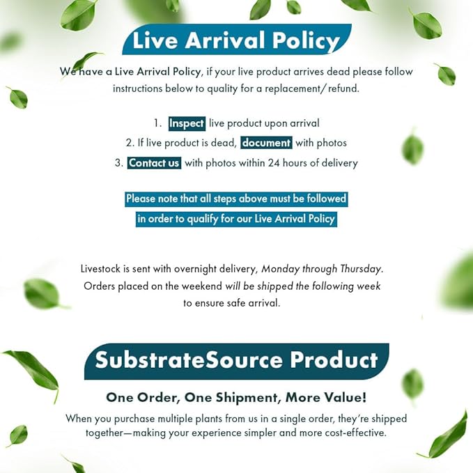 Crinum Calamistratum Live Aquarium Plant – African Onion Plant, Slow-Growing Freshwater Aquatic w/Curly Green Leaves for Planted Tanks, Background or Midground Tank Placement - Bulb