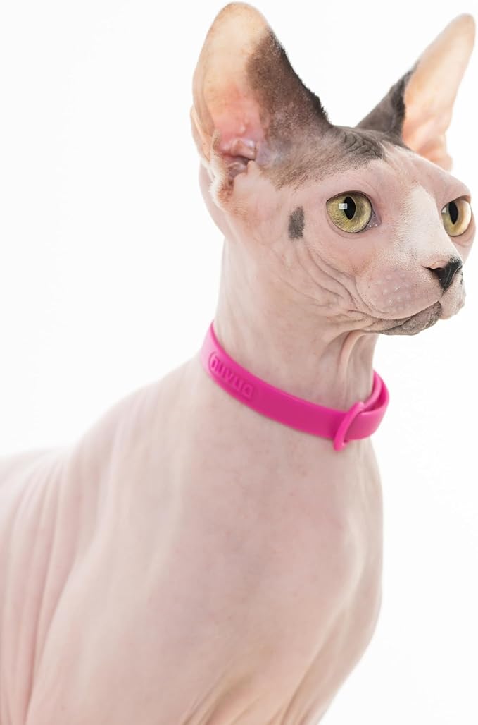 Cat Collar 2 Pack - Soft, Comfortable, and Lightweight Safety Breakaway Collar with Name Tag Ring for Outdoor Cats and Sensitive Skin Kittens by Nuvuq (6 ⅞" to 10 ¼", Pink)