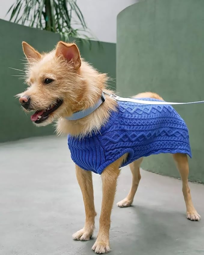 Blueberry Pet Essentials Matching Large Dog Collar | Adjustable Classic Solid Color Nylon Dog Collars for Large Dogs | Chambray Blue Dog Collar for Large Dogs