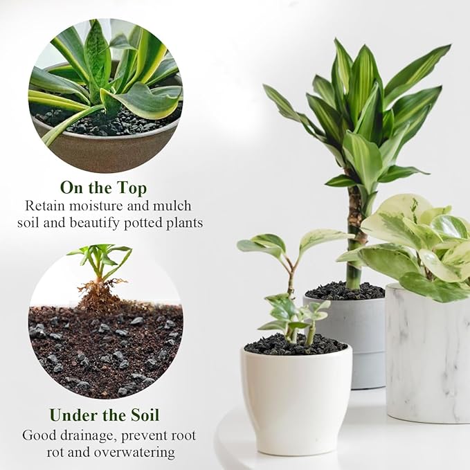 2 lbs Black Lava Rocks for Plants,1/4 Inch Crush Volcanic Rock Pumice Soil Additive for Succulent Aquarium Cactus Bonsai Fire Pits and Garden Landscaping