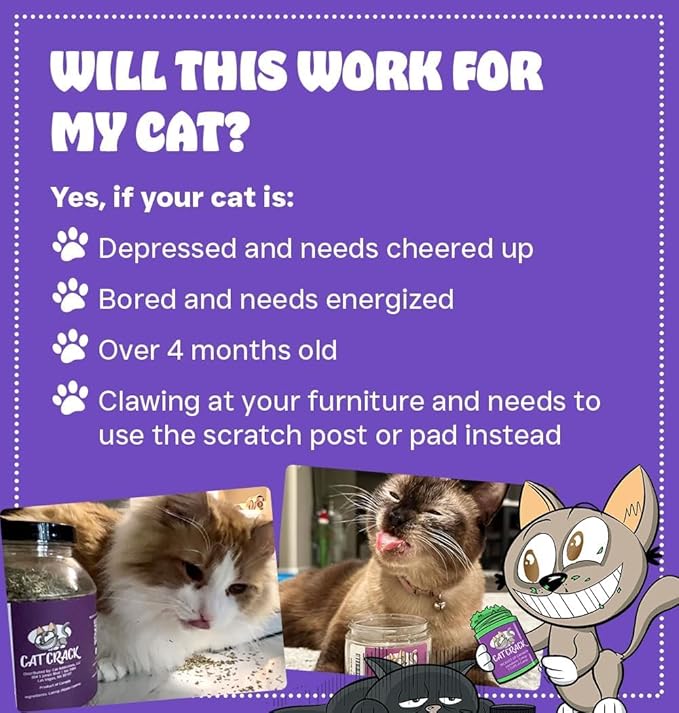 Cat Crack Organic Catnip, 100% Natural Cat Nips Organic Blend That Energizes and Excites Cats, Safe Catnip Treats Used for Cat Play, Cat Training, & New Organic Catnip Toys for Cats(1 Gallon Organic)