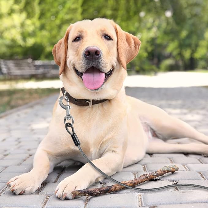 BV Dog Tie Out Cable 25 Feet - Heavy Duty Dog Lead Up to 250 Pounds - Reflective & Rust-Free with Quick Release Swivel Clips & 360° Rotating Clasp - Tangle-Free Dogs Runner for Yard (Grey, Single)