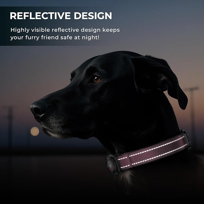 2025 Upgrade Airtag Dog Collar, Reflective Dog Collar with Airtag Holder, IP68 Waterproof| Metal Buckle| Ultra-Durable| Comfortable Padded, GPS Dog Collars for Medium Large Dogs (Pink,M)