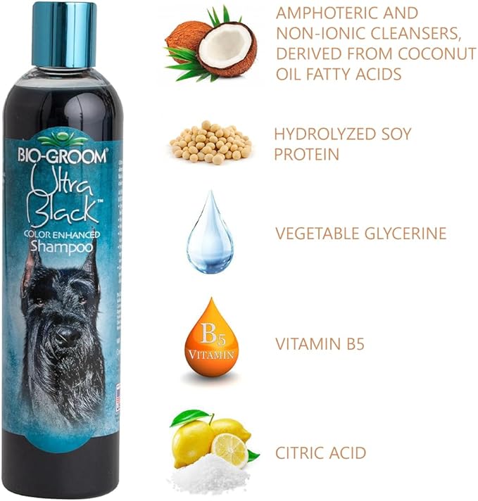 Bio-Groom Ultra-Black Dog Shampoo – Color Enhancing Pet Shampoo, Dog Bathing Supplies, Puppy Wash, Dog Grooming Supplies, Cruelty-Free, Made in USA, Coat Brightener Shampoo – 12 fl oz 1-Pack