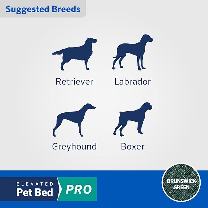 Coolaroo Pro Elevated Dog Bed - Low-Profile Access, Moisture-Resistant Cover, Breathable Fabric & Tool-Free Setup, Brunswick Green, Standard