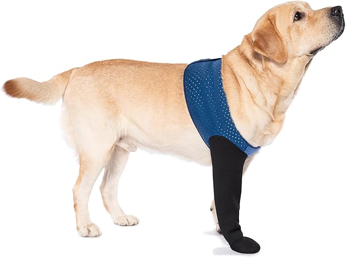 COODEO Dog Socks to Prevent Licking Paws, Healing Boots & Paw Protectors with Non-Slip Bottoms for Wound Protection, Waterproof Sleeve Shoes for Licking（Blue，M_Right