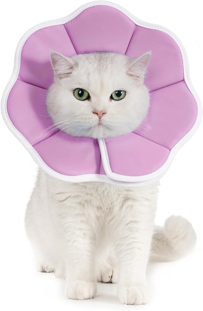Avont Soft Cat Recovery Cone Collar, Adjustable Lightweight Kitten E-Collar for Small Dogs, Comfortable Neck Donut Stop Licking Scratching After Surgery -Purple(L)