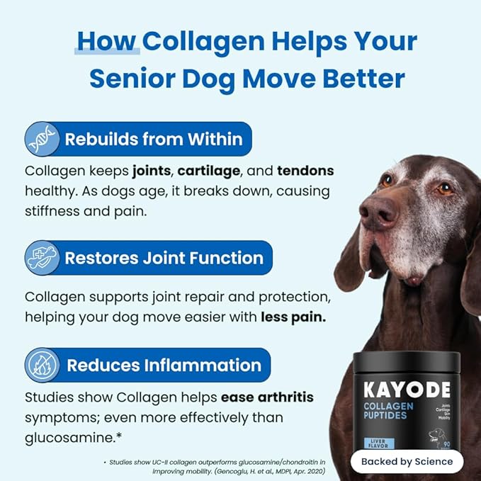 Collagen Puptides - Collagen for Dogs | Premium Dog Joint Supplement | 2X The Amount As Liquid Droppers | Great for Senior & Adult Dogs. Includes Omega 3.