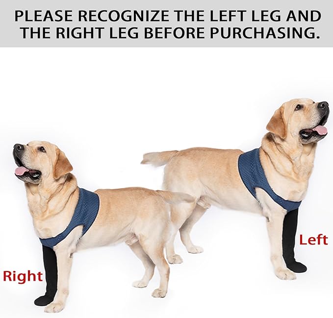 COODEO Dog Socks to Prevent Licking Paws, Healing Boots & Paw Protectors with Non-Slip Bottoms for Wound Protection, Waterproof Sleeve Shoes for Licking（Blue，L_Left