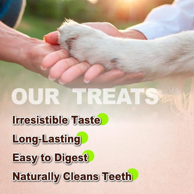 Afreschi Natural Turkey Tendon Lollipop Pack of 4, Dog Treat for Signature Series, All Natural Human Grade Puppy Chew, USA-Sourced Turkey Tendon, Rawhide Alternative