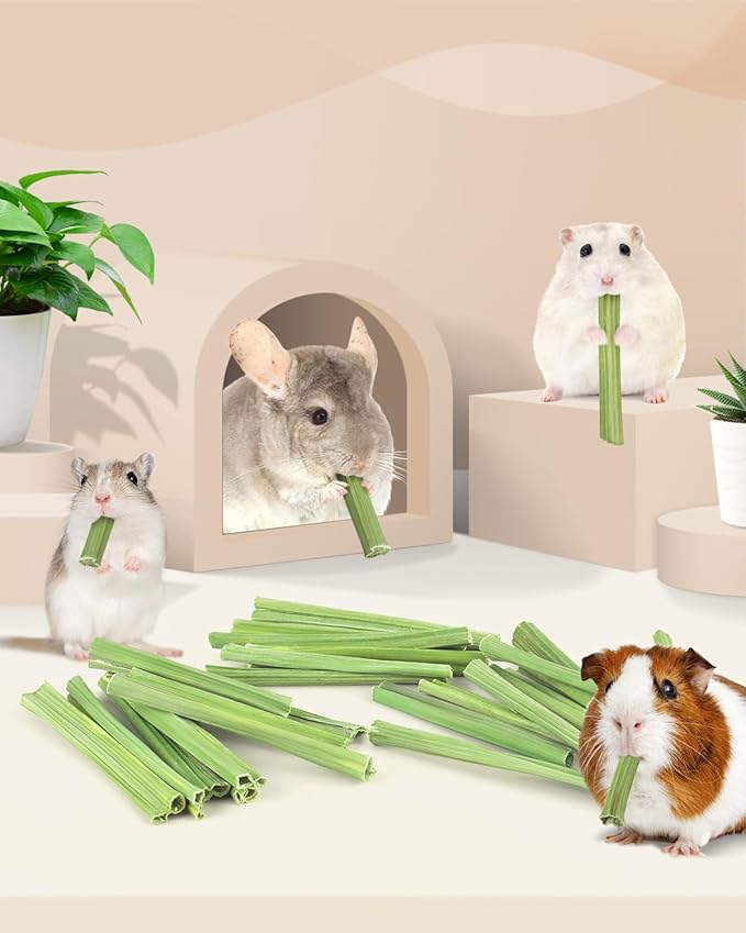 Bissap 25 PCS Guinea Pigs Chew Sticks, Natural Papaya Stems Bunny Chews Treats for Hamsters Chinchillas Small Animals Organic Molar Chewing Snack