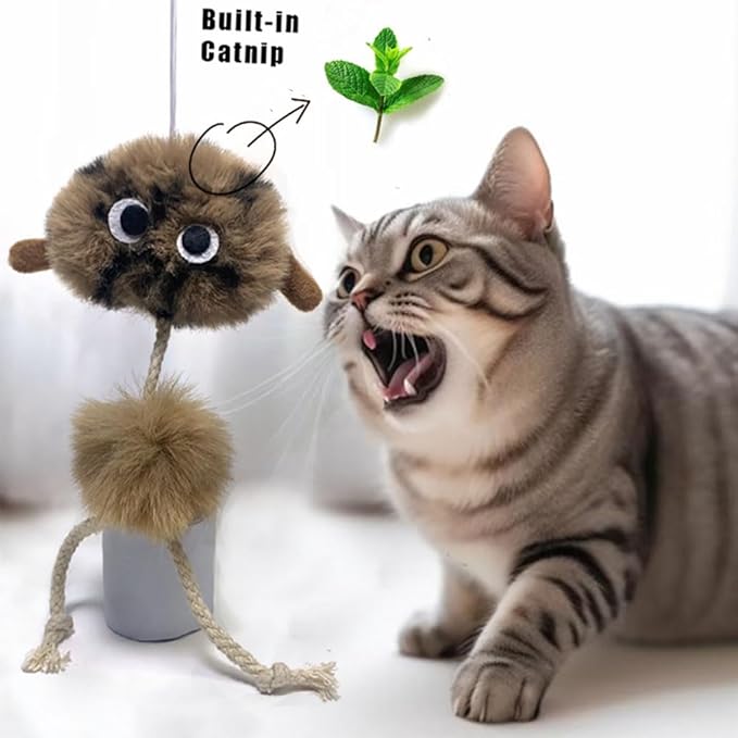 Cat Toys for Indoor Cats,Interactive Door Hanging Cat Toys Attached with Catnip/Feathers/Birds/Worm Toys for Cats/Kitten Toys(3 Pack)