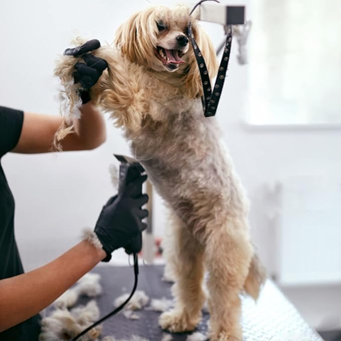 1Pack 10 Blade Dog Groomg Blades Compatible with Pet Clipper/Oster A5/Wahl KM Series Dog Clipper,Ceramic Blade & Stainless Steel Blade