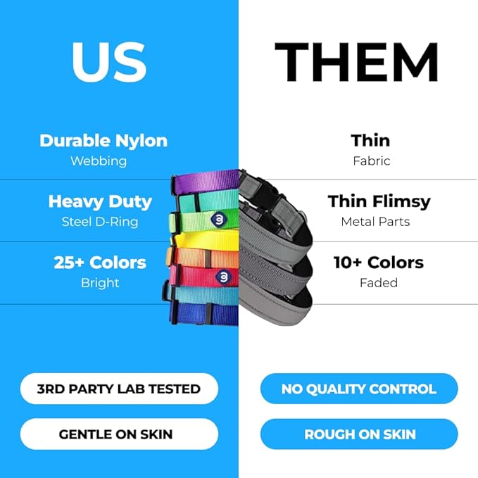 Blueberry Pet Essentials Small Dog Collar in Very Berry | Adjustable & Eco-Friendly Durable Nylon Strap | Classic Collar for Small Dogs, Boy & Girl Pets