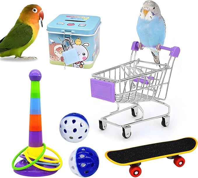 6pcs Interactive Puzzle Toy Set for Small Parrots - Training, Stress Relief, Include Coin Box, Bell Ball, Skateboard & Ferrule Toy for Bird Budgies, Cockatiels, Parakeet etc