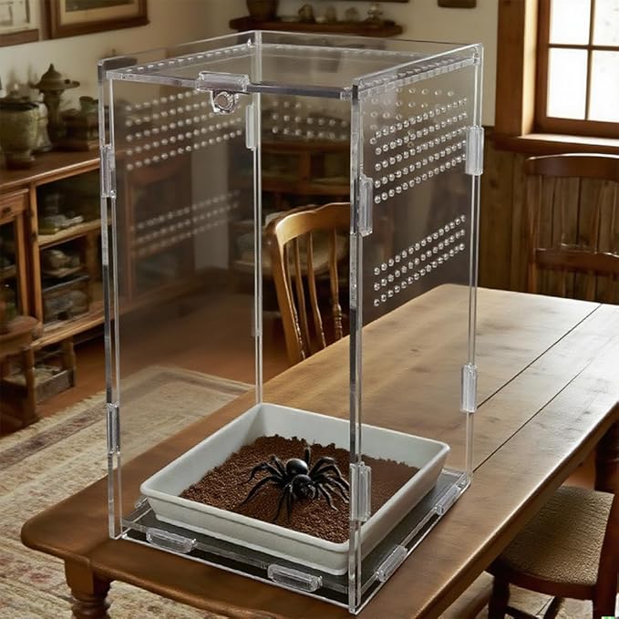 Acrylic Jumping Spider Enclosure,Reptile Enclosure,Bug Habitat, for Small Tree Dwelling Reptiles,Arboreal Tarantula Enclosure, Spider Terrarium Kit,Plastic Terrarium(4.7" X 4.7" X 8")
