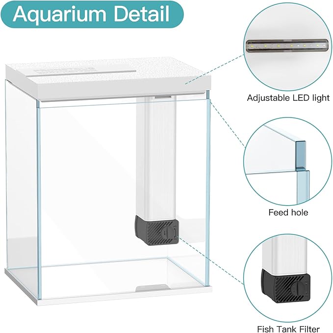 Betta Fish Tank, 2 Gallon Glass Aquarium Starter Kit, Small Fish Tank with Filter and Light.