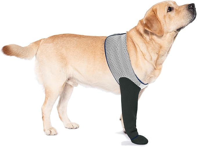 COODEO Dog Socks to Prevent Licking Paws, Healing Boots & Paw Protectors with Non-Slip Bottoms for Wound Protection, Waterproof Sleeve Shoes for Licking（Grey，M_Right