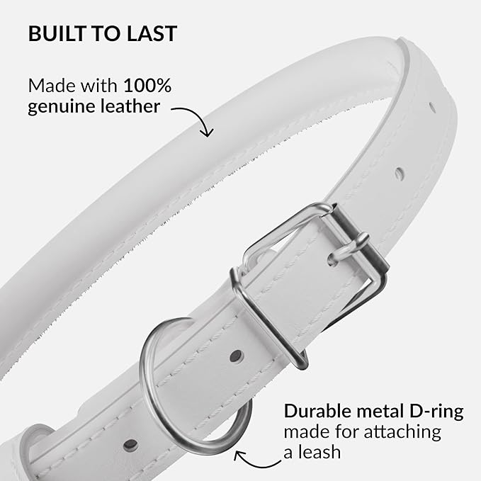 CollarDirect Rolled Leather Dog Collar, Soft Padded Round Puppy Collar, Handmade Genuine Leather Collar Dog Small Large Cat Collars 13 Colors (13-16 Inch, White Smooth)