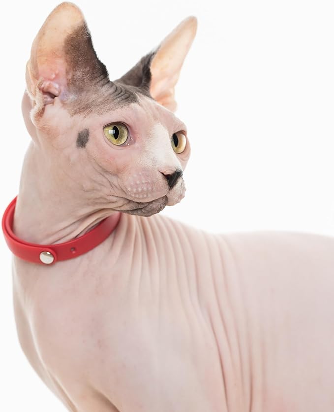 Cat Collar 2 Pack - Soft, Comfortable, and Lightweight Safety Breakaway Collar with Name Tag Ring for Outdoor Cats and Sensitive Skin Kittens by Nuvuq (6 ⅞" to 10 ¼", Red)