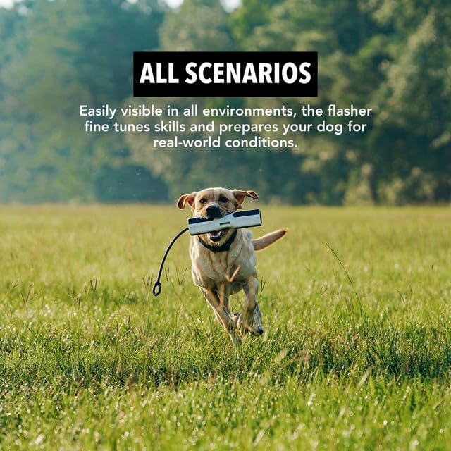Dog Training Bumper - Retriever Training Dummy, Retrieving Dummies for Pets, Bumpers for Water Retrieving with Adjustable Rope, (Flasher)