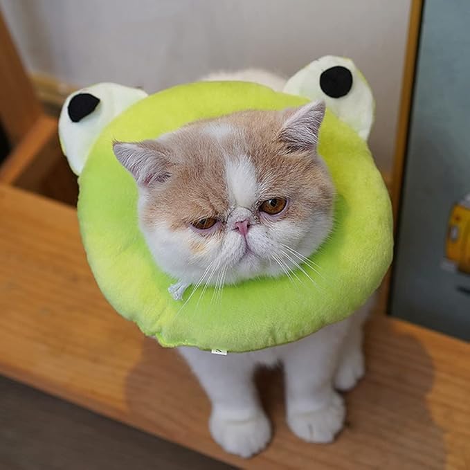 Adjustable Cat Recovery Collar Soft,Cute Pet E-Collar Neck Cone After Surgery Wound Healing Protective Cone Fit for Kitties, Small Dogs(ELC05-frog-m)