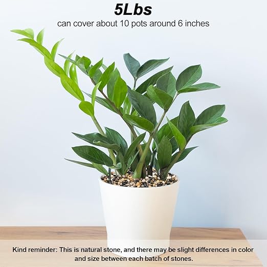 Decorative Rocks for Potted Plants,Virekm River Rocks, Decorative Ornamental Pebbles,Garden Landscaping Stones Gravel Filler for Home Decoration Flower Bed Fish Tank Plants Vases Succulents (5 Pounds)