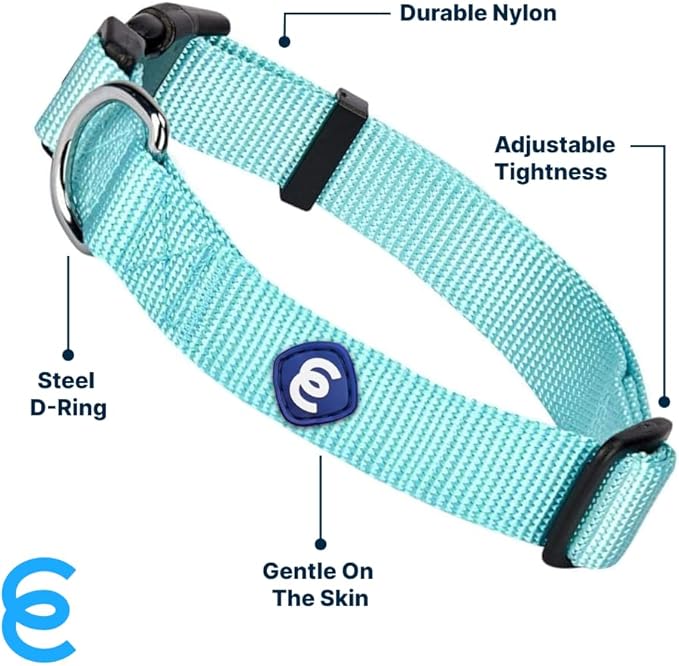 Blueberry Pet Essentials X-Small Dog Collar in Mint Blue | Adjustable & Eco-Friendly Durable Nylon Strap | Classic Collar for X-Small Dogs, Boy & Girl Pets