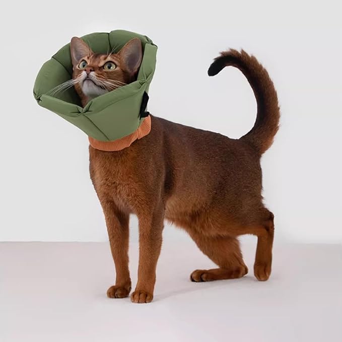 Cat Cone Collar - Soft Waterproof Elizabethan for Cats, Cute Green Flower Anti-Lick Recovery Collar, Adjustable Healing Collar for Wound Care & Surgery with a pet Toy Fish，S