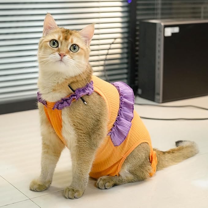 Cat Recovery Suit,Kitten Onesie After Surgery,E-Collar Alternative for Abdominal Wound and Skin Diseases,Soft Breathable Bodysuit After Spay（Orange-m）