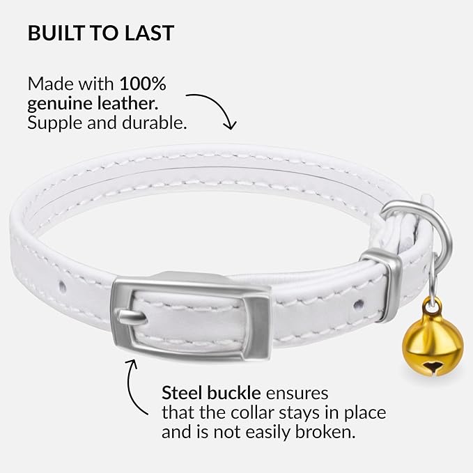 CollarDirect Leather Cat Collar with Bell - Kitten Collar, Small and Big Cat Collar for Boy Cats, Girl Cats with Safety Elastic Strap (Neck Fit 6"-7", White)