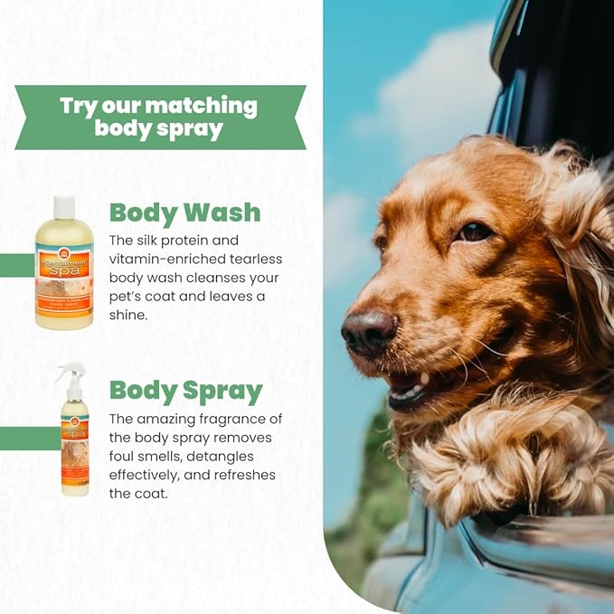 Best Shot Scentament Spa Seasonal Facial & Body Wash, Exotic Island, 16 oz