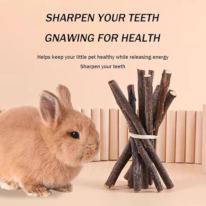 400g 5 Guinea Pig Toys Apple Sticks, Tissimo Grass Sticks, Sweet Bamboo, Papaya Stems, Carrot Sticks Pertain Chinchilla Squirrel Gerbil Hamster Squirrel Guinea Pigs