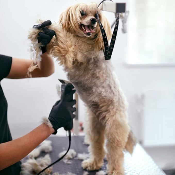 2Pack #40 Dog Grooming Clipper Replacement Blades - Compatible with Andis/Wahl/Oster, Detachable Ceramic & Stainless Steel Blade, Size 40, Cut Length 1/100" (0.25mm)