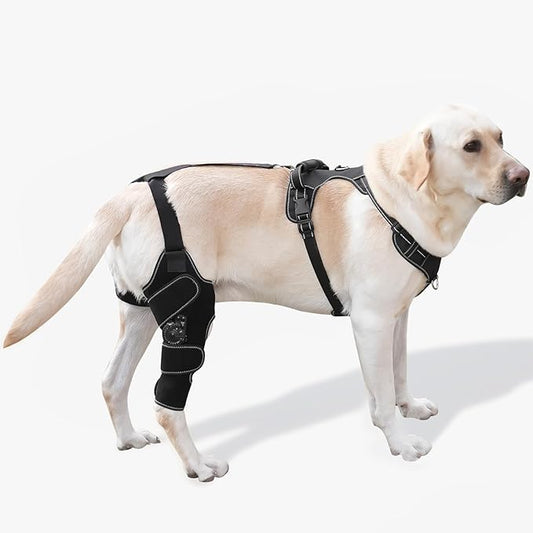 Dog Knee Brace with Adjustable Support – ACL & CCL Tear Recovery, Post-Surgery Stabilization, Mobility Aid for Rear Legs – Includes Secure Chest Harness for Dogs(Right,M)