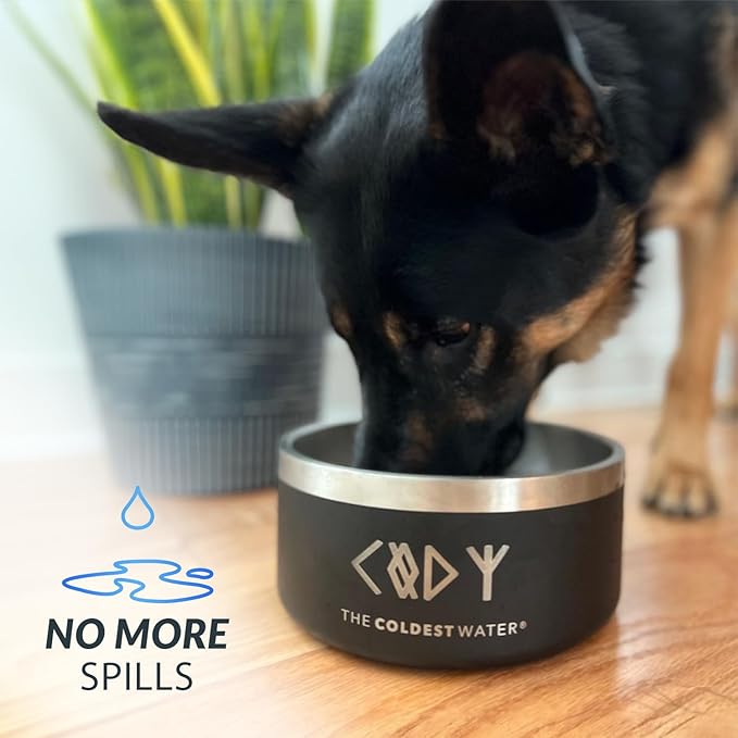 Coldest Dog Bowl - Anti Rust Metal, Non Slip, 3 Layers Insulated Stainless Steel Dog Bowls - Spill Proof & Heavy Duty - Water Bowl for Dogs, Cats & Pets, Dish Washer Safe (21 oz, Sahara Tan)