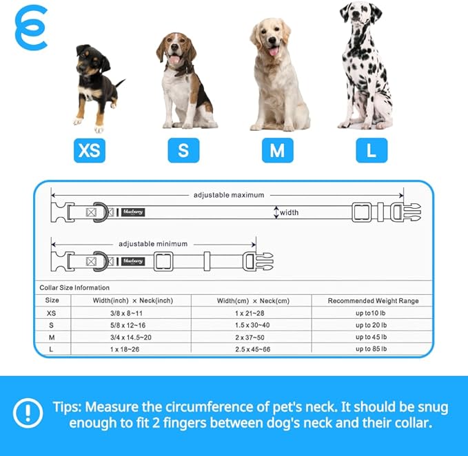 Blueberry Pet Essentials Florence Orange Adjustable Nylon Dog Collar for Large Dogs, Classic Solid Color Pet Safety & Style for Small Dogs