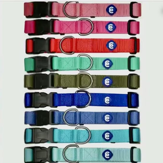 Blueberry Pet Essentials Adjustable Dog Collar in Turquoise | Dog Collars for Medium & Large Dogs | Eco-Friendly Nylon for Boy & Girl Puppies | Stylish & Durable for The Eco-Conscious