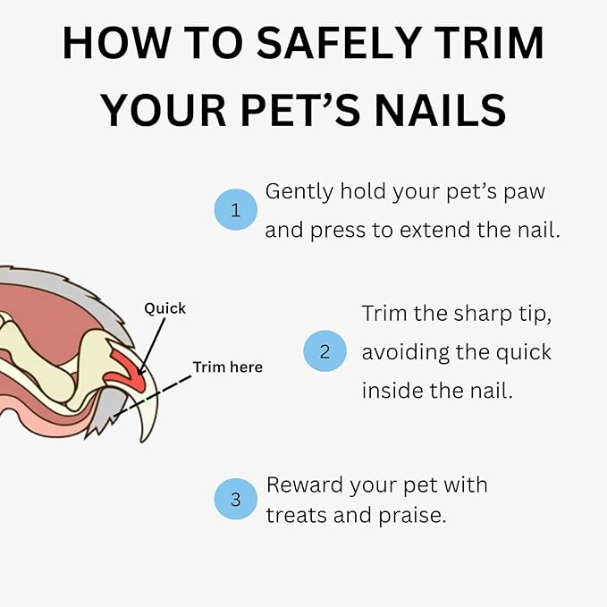 AIXINPET Dog & Cat Nail Clippers and Trimmers - with Free Nail File, Protective Guard to Avoid Over Cutting, Extra Sharp Blade - Suitable for Small to Large Dogs & Cats, Birds and Rabbits (Small)