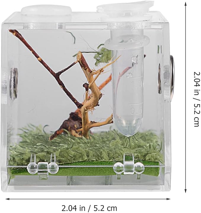 balacoo 8 Sets Jumping Spider Enclosure: Spider Cage Habitat Jumping Terrarium Micro Scorpion Droppers Reptile Hide Clear Enclosure Breeding Box Case with Breeding Tweezers