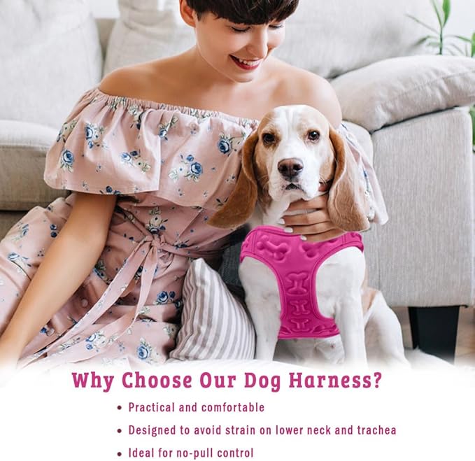 Comfort Fit Dog Harness No Pull No Escape Harness Adjustable Buckles Soft Padded Reflective Choke Step in Dog Vest with Easy Control Handle for Small Medium Large Dogs & Puppies