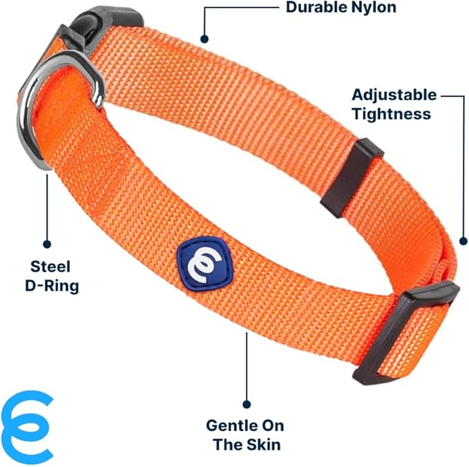 Blueberry Pet X-Small Dog Collar | Girl Dog Collars | Female Dog Collar XS | Quick Release Dog Collar | Florence Orange Nylon Dog Collar for Girl, Collar for Small Dogs