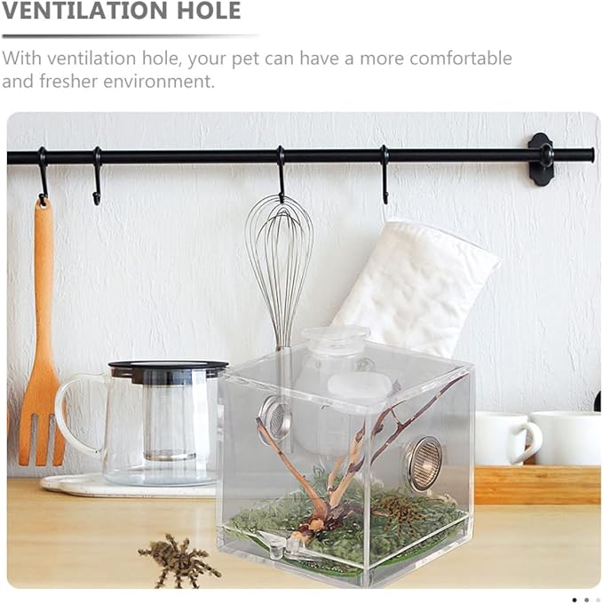 balacoo 8 Sets Jumping Spider Enclosure: Spider Cage Habitat Jumping Terrarium Micro Scorpion Droppers Reptile Hide Clear Enclosure Breeding Box Case with Breeding Tweezers