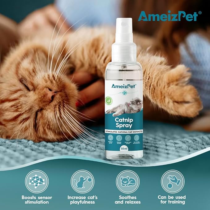 Catnip Spray for Cats, Cat Scratching Sprays, Transparent Cat & Kitten Behaviour Spray 50 ml (1.69 Oz)